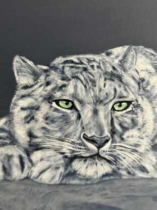 I went to Melbourne zoo and I stayed a long time seeing this elegant snow leopard .
Well I decided to paint this beauty and I hope you will have a crush on it! This painting is slightly varnished with a Matt varnish and framed I painted the frame with the same colour of the painting background for a classic touch.
Each painting is provided with a certificate of authenticity wrapped securely with bubble layers and thick cardboard.