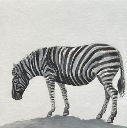 watercolour painting on paper of a Zebra