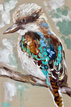 Bush kookaburra 