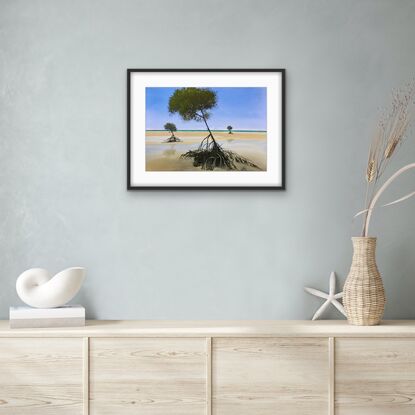 Three Mangrove trees on the sandy beach