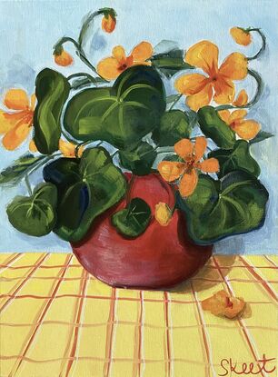 Pretty Red Pot full of nasturtium s on a yellow checked Tablecloth