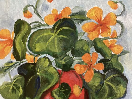 Pretty Red Pot full of nasturtium s on a yellow checked Tablecloth