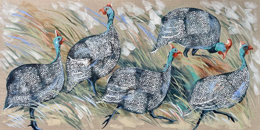 Guinea fowls 