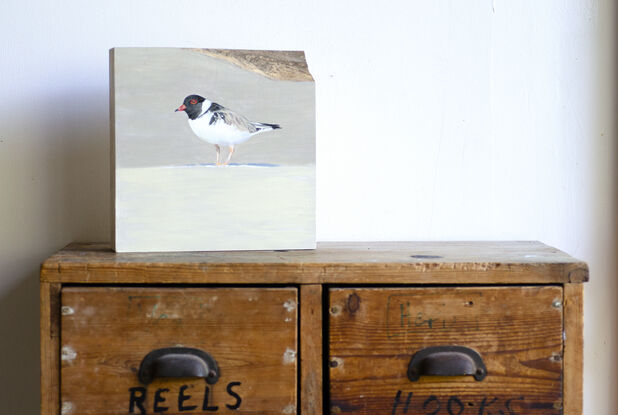 A small wading bird, a hooded plover stands on the beach watchfully. 