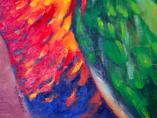 Portrait of bright and colourful rainbow lorikeet