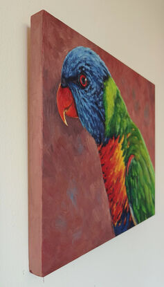 Portrait of bright and colourful rainbow lorikeet