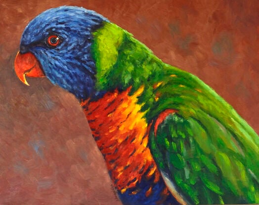 Portrait of bright and colourful rainbow lorikeet