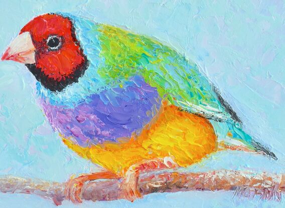 A thickly textured oil painting of a colourful Gouldian Finch, an Australian native bird. The background is a sky blue.  The little bird has a red head, green feathers on its back and purple and yellow on its front.