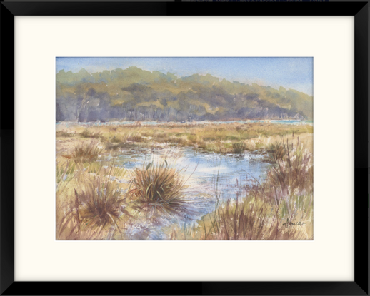 Golden long grasses in the marshes of Burrill Lake with trees in the distance.