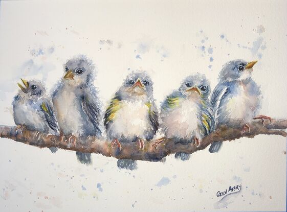 Five blue birds on a branch
Fluffy birds
Young birds on a branch