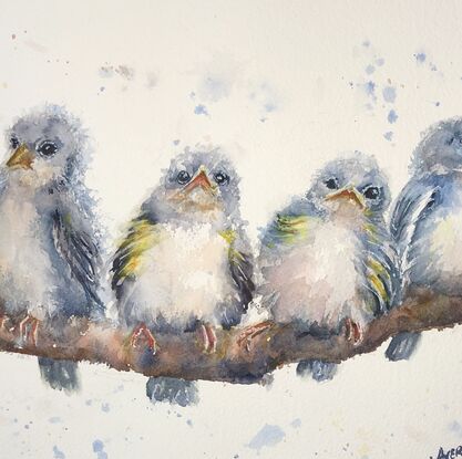 Five blue birds on a branch
Fluffy birds
Young birds on a branch