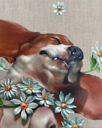 A beagle rolling on its back covered in daisies