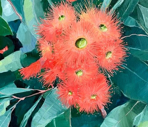 Flowering gum flowers and leaves