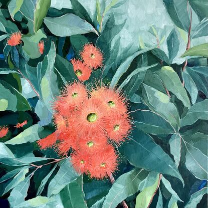 Flowering gum flowers and leaves