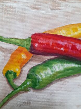 Long green, red and yellow chilies placed on white background 