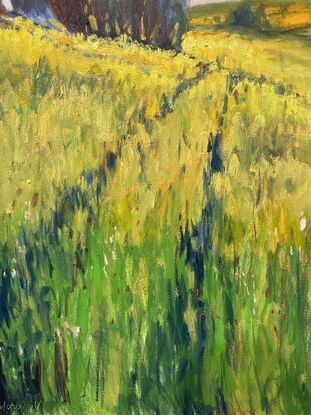 Yellow open field with trees during summer day under blue sky. 