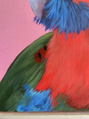 Parrot portrait