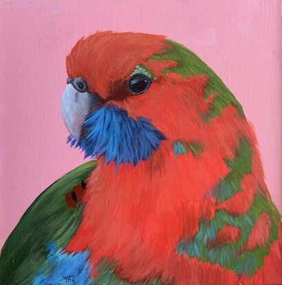 Parrot portrait