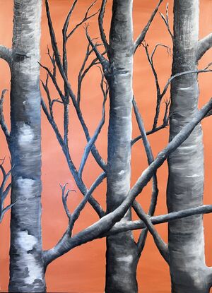 Silver birch trees with a modern twist.