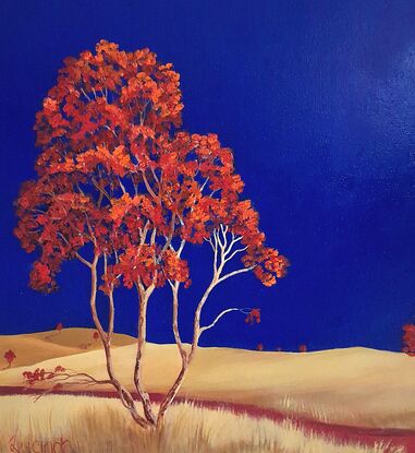 Square Australian landscape with dark blue sky with gold beige foreground, red  trees in foreground, Lucinda Leveille, original artwork, Australiana