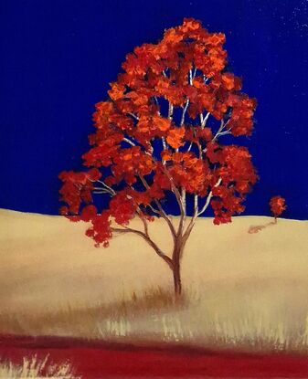 Square Australian landscape with dark blue sky with gold beige foreground, red  trees in foreground, Lucinda Leveille, original artwork, Australiana