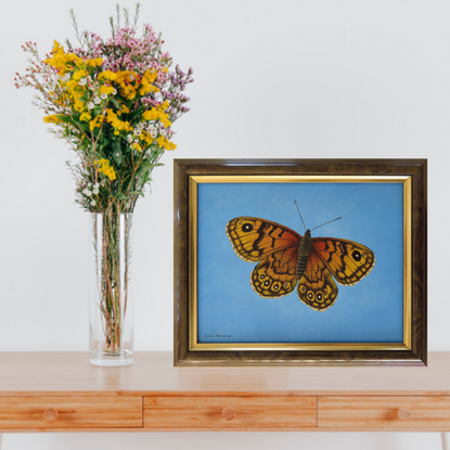 realistic painting brown and orange butterfly