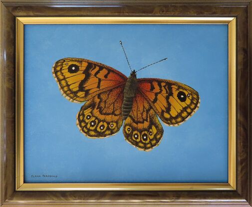 realistic painting brown and orange butterfly