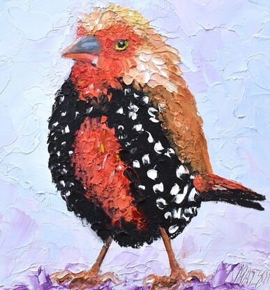 Heavily textured oil painting of a young Painted Firetail Finch bird on a pale lavender background. This little bird is native to Australia and named the Painted Firetail finch due to the red and white spotted and mottled underparts of both males and females. 