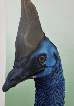 A colorful acrylic painting titled 'I Don’t Ever Want to Meet a Cassowary in Real Life' by Silas Ingles. The painting depicts a cassowary, a large, flightless bird known for its distinctive appearance. The cassowary is shown with a blue face and neck, a prominent bony casque on top of its head, and strikingly bright, round eyes. The bird's body is covered in black feathers, and it has a long, slender neck. The background of the painting features bold, swirling patterns in various bright colors, adding a vibrant and dynamic feel. The cassowary's pose and expression suggest a mix of curiosity and caution, reflecting the artist's fascination and apprehension toward this unique bird.