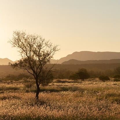 "Outback" photograph showcases rugged Australian wilderness with clay-like landscape and striking light and shadow play. Earthy terracotta tones dominate color palette for a captivating image.