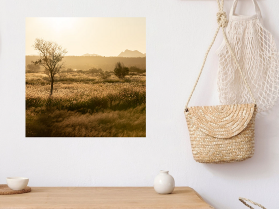 "Outback" photograph showcases rugged Australian wilderness with clay-like landscape and striking light and shadow play. Earthy terracotta tones dominate color palette for a captivating image.