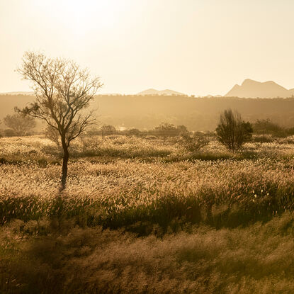 "Outback" photograph showcases rugged Australian wilderness with clay-like landscape and striking light and shadow play. Earthy terracotta tones dominate color palette for a captivating image.