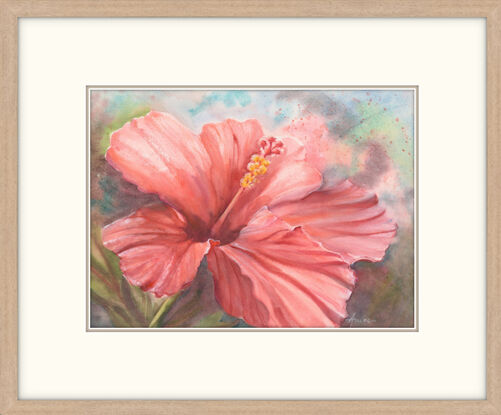 A solitary large single red Hibiscus flower taking up most of the paper with a moody background