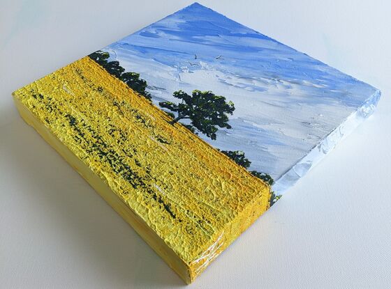 Bright yellow Australian canola field with blue skies and tree lined horizon