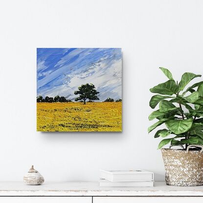 Bright yellow Australian canola field with blue skies and tree lined horizon