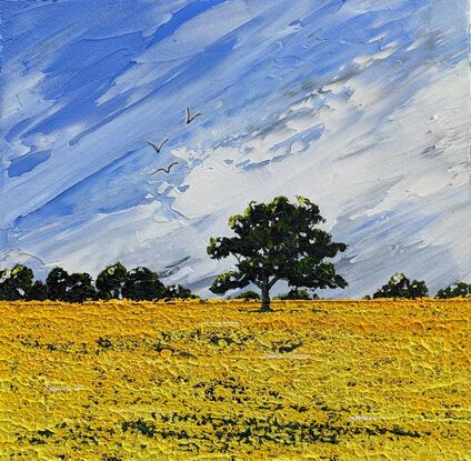 Bright yellow Australian canola field with blue skies and tree lined horizon