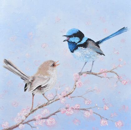 Thickly textured painting of a pair of singing Superb Fairy Wrens. One, a brown female and the other a brilliant blue male. They are perched on a pink blossom tree branch.