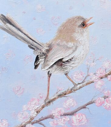 Thickly textured painting of a pair of singing Superb Fairy Wrens. One, a brown female and the other a brilliant blue male. They are perched on a pink blossom tree branch.