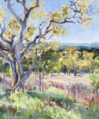 An old tree with yellow leaves looking at blue hills in the distance.