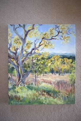 An old tree with yellow leaves looking at blue hills in the distance.