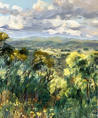 A view of the mountains looking through bushy scrub.