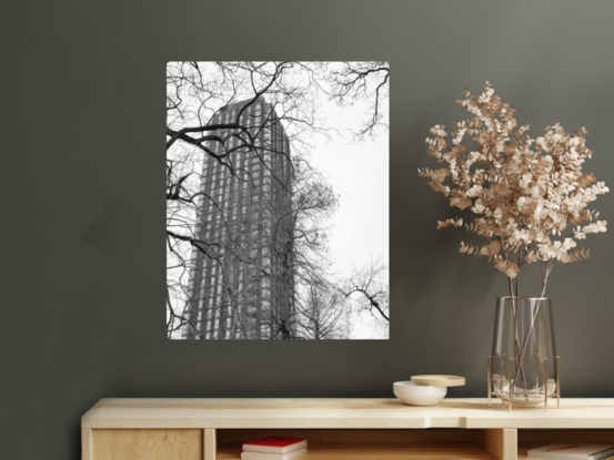 A black and white apartment building with a grey sky and bare winter branches wrapped around it.  From Carlsberg district in Copenhagen.