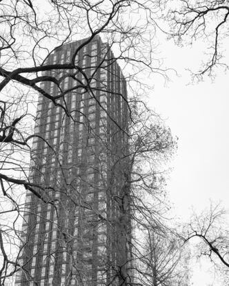 A black and white apartment building with a grey sky and bare winter branches wrapped around it.  From Carlsberg district in Copenhagen.