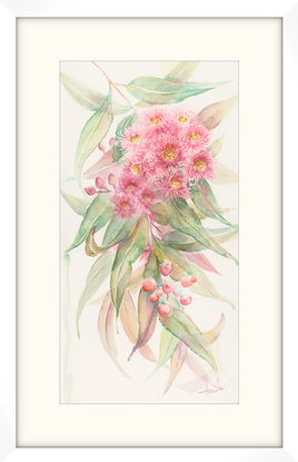 Watercolour painting of a pink red gum blossoms and leaves