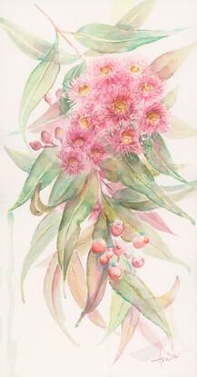 Watercolour painting of a pink red gum blossoms and leaves