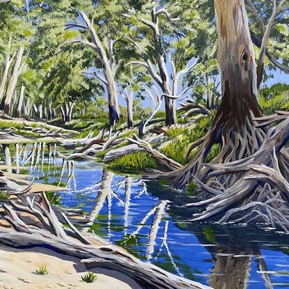 Reflections of  gums in the water of a shallow sandy creek, with lots of driftwood on the banks.