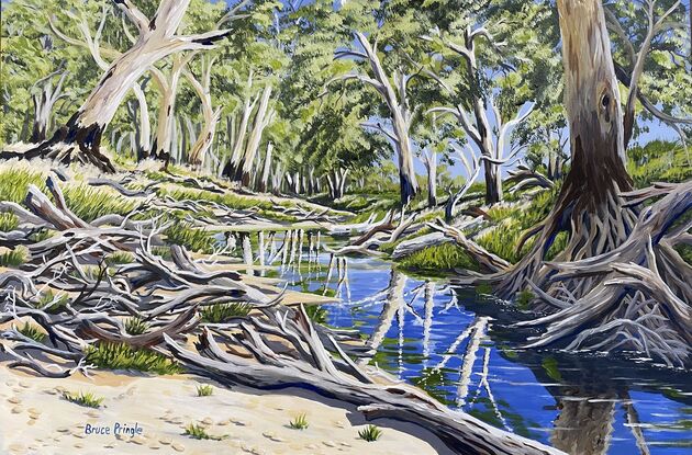 Reflections of  gums in the water of a shallow sandy creek, with lots of driftwood on the banks.