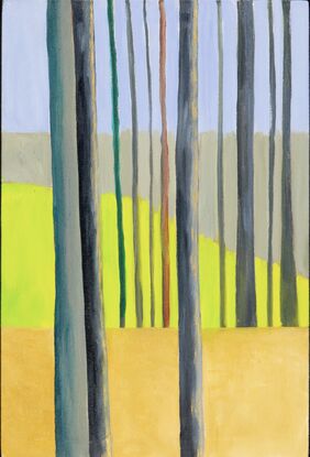 A landscape of bare tree trunks against an undulating hills with a blue sky shining with optimism for the new life to come