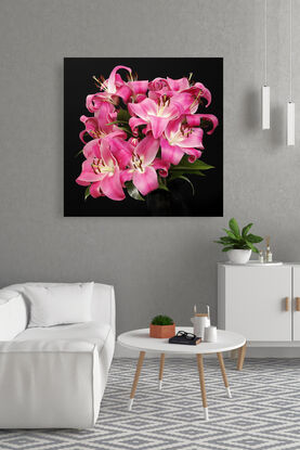 still life of pink lilly flowers on black background