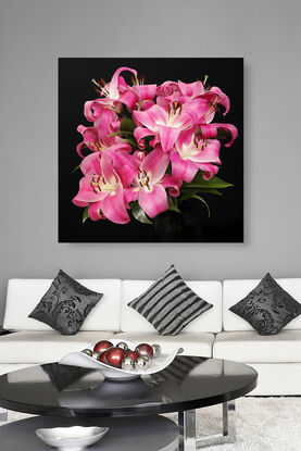 still life of pink lilly flowers on black background